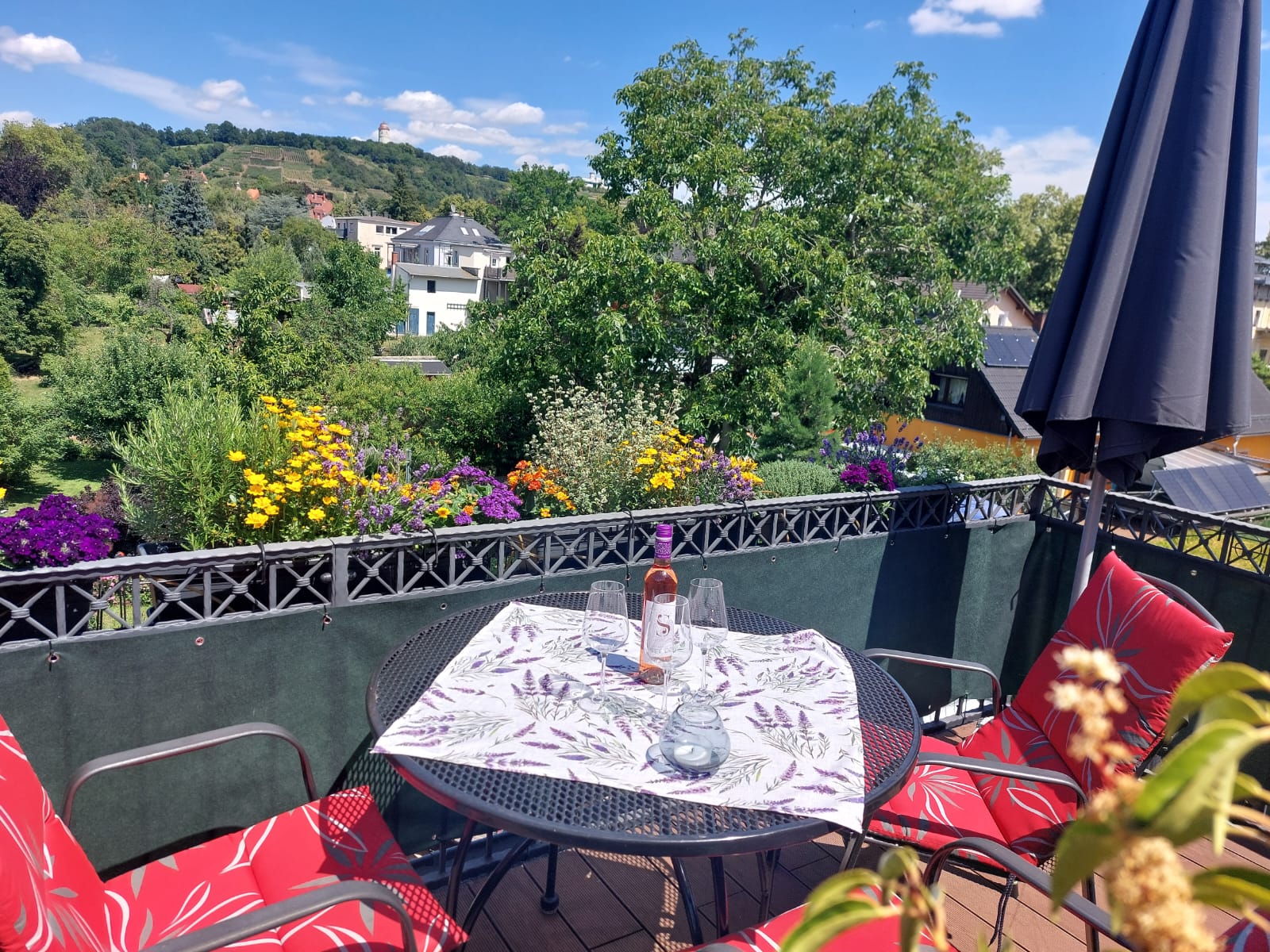 Blick vom Balkon über den Garten zu den Weinbergen